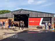 DS091023-17 - Dan Skelton stable visit